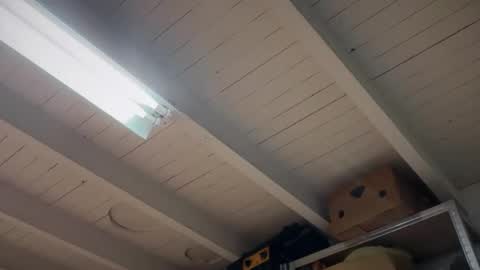 fabius1995 online show from March 2026 07:50:01 PM