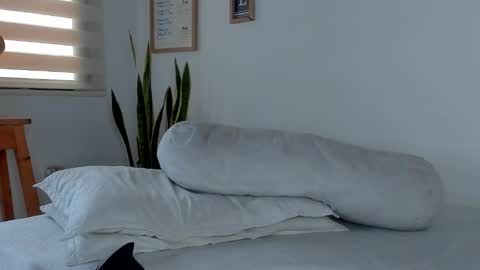 -  A N D E R online show from November 2025 09:25:02 PM