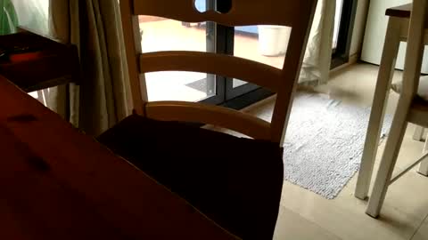 Snapshot of fabro45 chatting on March 2025 03:13:02 PM Fabro online show from March 2025 03:13:02 PM