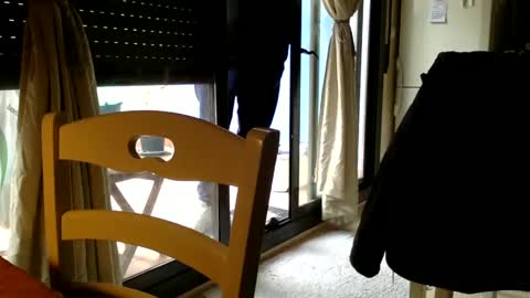 Snapshot of fabro45 chatting on March 2025 10:56:02 AM Fabro online show from March 2025 10:56:02 AM