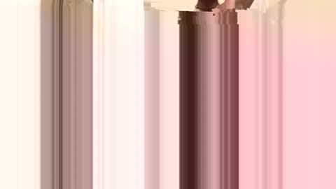 facesd online show from April 2026 04:37:02 AM