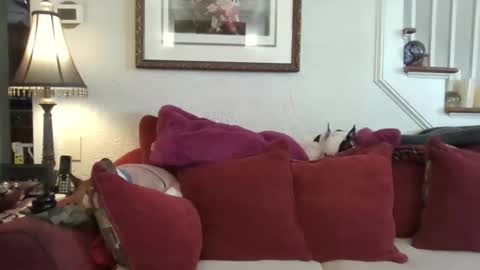 Snapshot of fairmount31 chatting on February 2026 01:51:01 PM fairmount31 online show from February 2026 01:51:01 PM