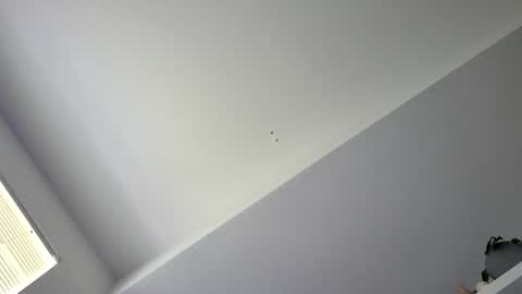 Snapshot of fairyboycvm chatting on June 2026 05:04:01 PM fairyboycvm online show from June 2026 05:04:01 PM