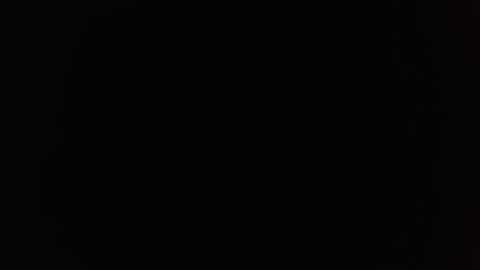 Snapshot of falcon1225 chatting on March 2025 07:17:01 PM falcon1225 online show from March 2025 07:17:01 PM