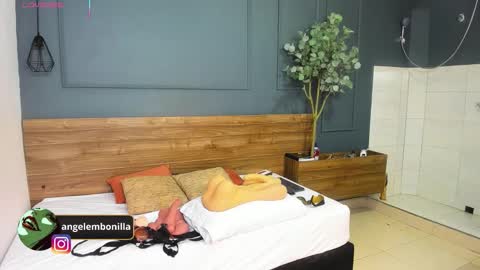 Snapshot of fallen_angel999777 chatting on February 2026 11:40:01 AM Megan 630 1330 -5 online show from February 2026 11:40:01 AM