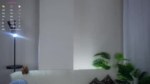 Kim online show from February 2026 02:42:02 PM