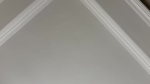 famsea online show from November 2025 01:48:02 AM