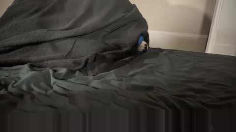 Fango online show from January 2026 02:39:01 AM