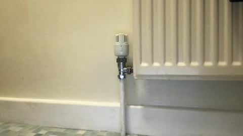 Alex online show from December 2024 09:55:02 AM