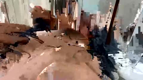 faried92 online show from September 2025 04:46:02 AM