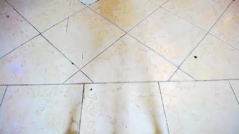 Snapshot of fartech chatting on September 2025 02:44:02 PM fartech online show from September 2025 02:44:02 PM