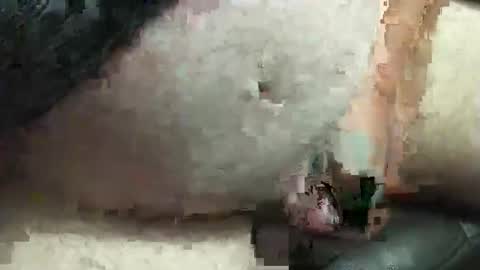 Snapshot of fatdaddy4you chatting on September 2025 03:35:02 PM fatdaddy4you online show from September 2025 03:35:02 PM