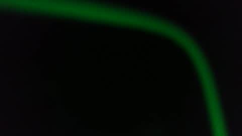 Fred. online show from January 2026 12:49:02 AM