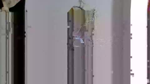 favouriteveronika online show from April 2026 03:45:01 AM