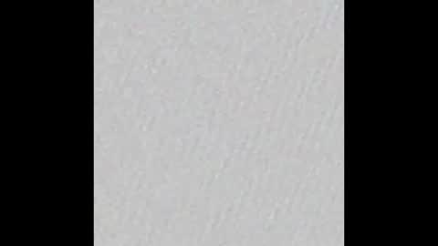 FeleenaFux online show from March 2026 02:17:01 AM