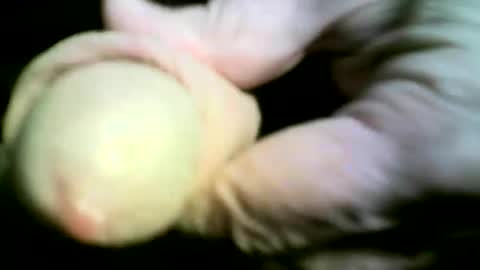 felicaste online show from April 2026 09:18:02 PM