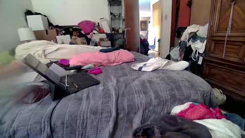 Snapshot of felicitybliss29 chatting on February 2026 10:44:02 AM felicitybliss29 online show from February 2026 10:44:02 AM