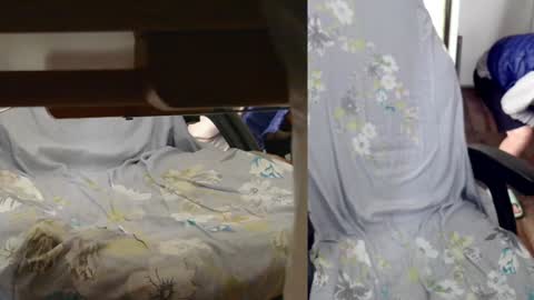 felixlau online show from January 2025 07:42:01 AM