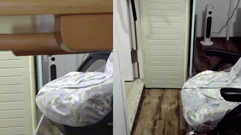 felixlau online show from January 2025 12:11:02 PM