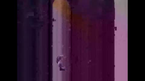 feog197475512 online show from November 2025 03:30:02 AM