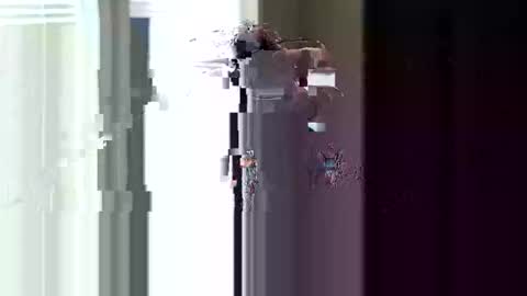 Snapshot of fer28639 chatting on April 2026 04:44:02 PM fer28639 online show from April 2026 04:44:02 PM