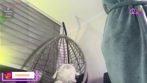 Snapshot of fernandafox_ chatting on June 2026 03:53:01 AM fernanda online show from June 2026 03:53:01 AM