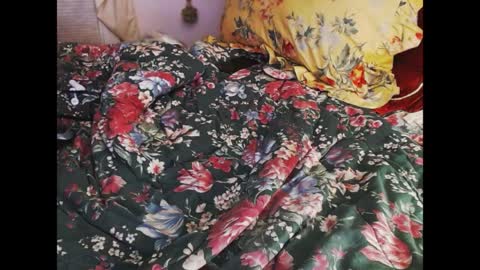 ferra_testarossa online show from April 2026 02:33:02 AM