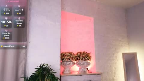 ferry_tail online show from February 2025 04:53:01 PM