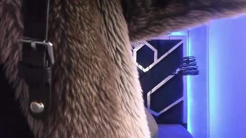   online show from February 2025 03:16:02 PM