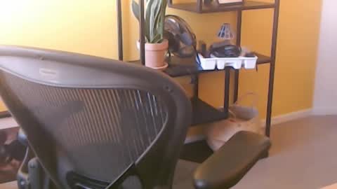 Snapshot of filip907 chatting on September 2025 11:25:01 AM filip907 online show from September 2025 11:25:01 AM