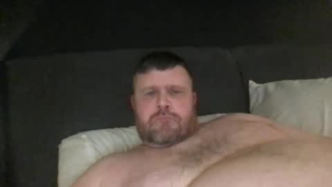 fin bear dom online show from January 2025 09:52:02 PM