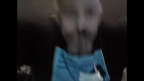 Brad online show from November 2025 12:18:02 PM