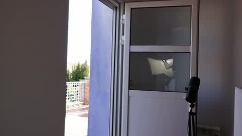 Marcos online show from April 2026 04:05:02 PM