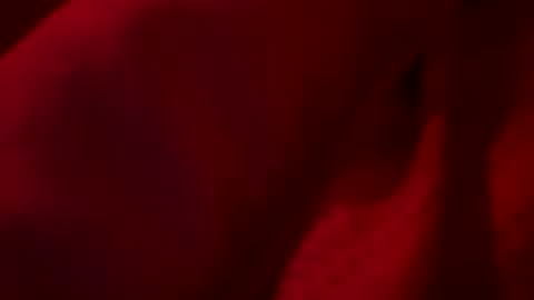 Snapshot of firsttime_freak chatting on May 2026 07:46:02 AM FirstTimeFeak online show from May 2026 07:46:02 AM