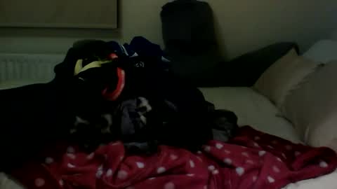 Snapshot of fitbut chatting on January 2025 07:48:02 PM Fitbut online show from January 2025 07:48:02 PM