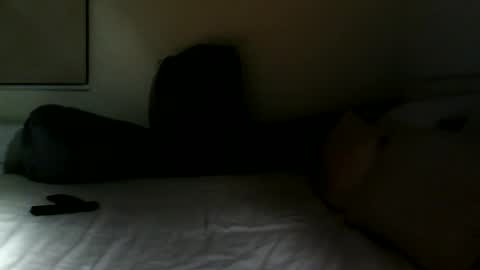 Snapshot of fitbut chatting on March 2025 08:12:01 PM Fitbut online show from March 2025 08:12:01 PM