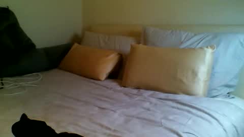 Snapshot of fitbut chatting on September 2025 07:03:01 PM Fitbut online show from September 2025 07:03:01 PM