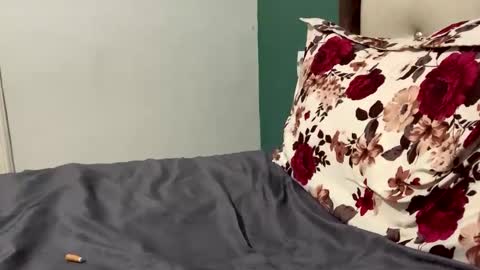 FittBoy online show from March 2026 03:22:01 PM