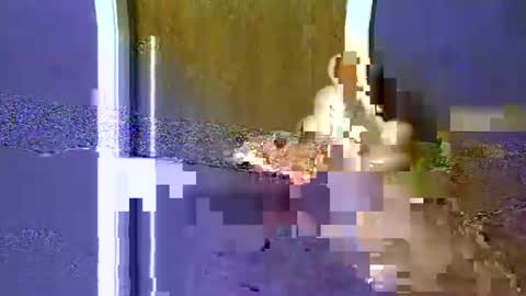 Snapshot of flex480 chatting on February 2026 01:24:01 AM flex480 online show from February 2026 01:24:01 AM