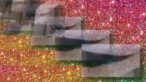 Flextle Bunny online show from January 2026 11:30:02 PM