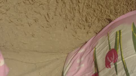 Snapshot of flowercandydoll chatting on December 2024 07:07:02 PM say meow and send tip  online show from December 2024 07:07:02 PM