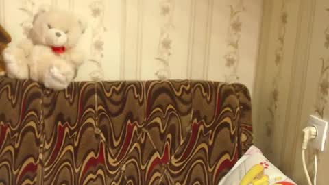 Snapshot of flowercandydoll chatting on February 2025 08:50:02 AM say meow and send tip  online show from February 2025 08:50:02 AM