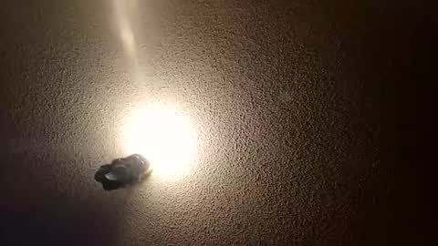 flyyguy69 online show from January 2026 01:38:01 PM