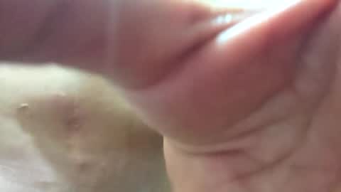 Snapshot of follador6543 chatting on June 2026 12:56:02 AM follador6543 online show from June 2026 12:56:02 AM