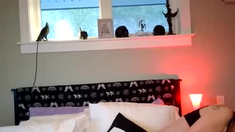 Snapshot of forbiddenwifey chatting on April 2026 02:33:01 AM forbiddenwifey online show from April 2026 02:33:01 AM