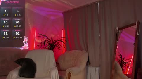     online show from April 2026 02:44:01 PM