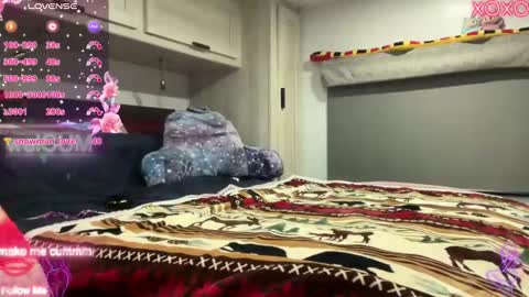 Elaine online show from October 2025 11:16:01 PM