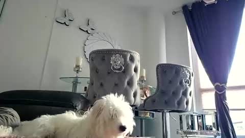 franciscomalin online show from July 2026 06:55:01 AM