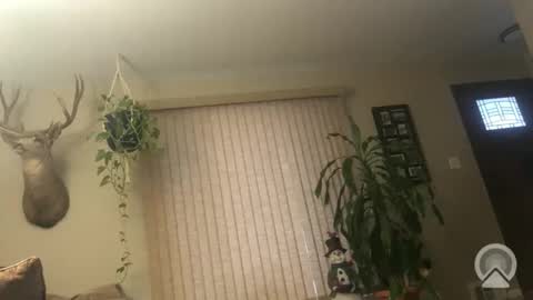 Snapshot of frankdaddy896 chatting on January 2026 01:15:02 PM Frank online show from January 2026 01:15:02 PM