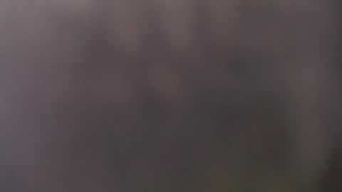 francescosal online show from May 2026 10:44:01 AM